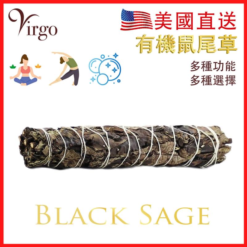 美國有機黑鼠尾草22CM約80克 White Sage天然白鼠尾草煙薰淨化棒 薰草負能量淨化燃燒棒 印第安傳統古法淨化植物Salvia Apiana V-SMUDGE-22CM-BLACK