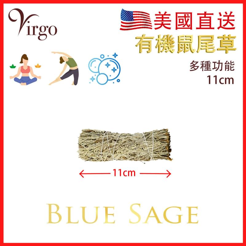 美國有機藍鼠尾草11CM約20克 White Sage天然白鼠尾草煙薰淨化棒 薰草負能量淨化燃燒棒 印第安傳統古法淨化植物Salvia Apiana V-SMUDGE-11CM-BLUE