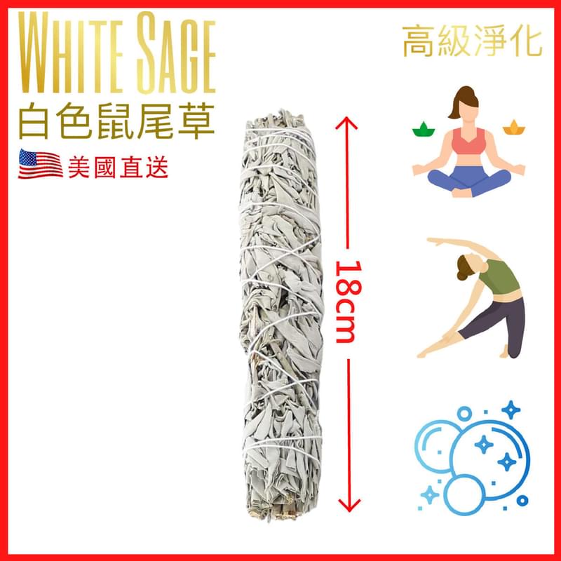 18CM約75克美國加州純白鼠尾草 White Sage天然白鼠尾草煙薰淨化棒 薰草負能量淨化燃燒棒 印第安傳統古法淨化植物草枝葉Salvia Apiana PURE-WHITE-SAGE-18CM