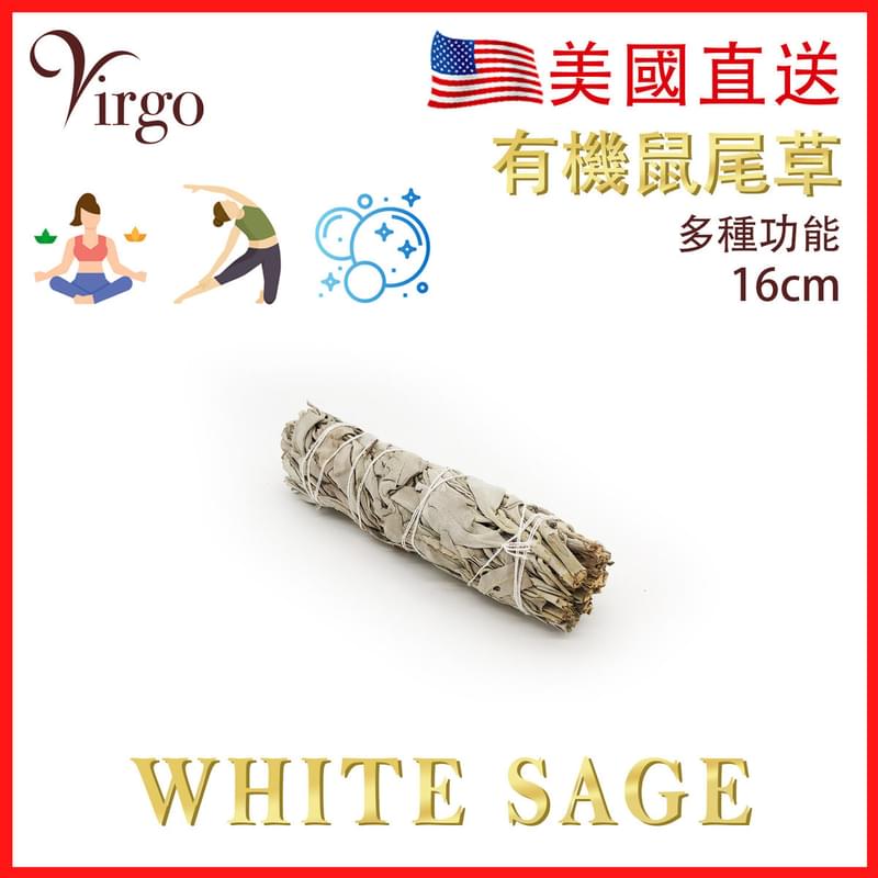 15CM約60克美國加州純白鼠尾草 White Sage天然白鼠尾草煙薰淨化棒 薰草負能量淨化燃燒棒 印第安傳統古法淨化植物草枝葉Salvia Apiana PURE-WHITE-SAGE-15CM