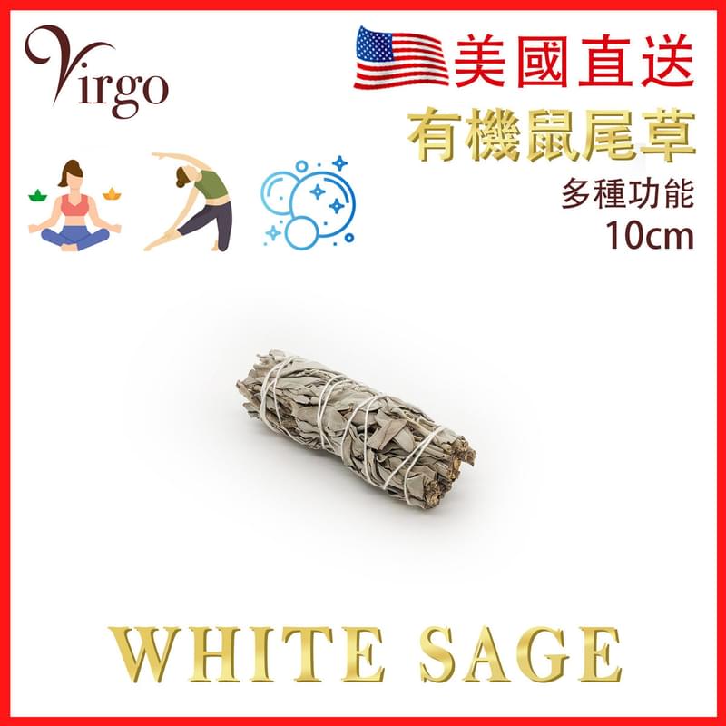 鼠尾草 10cm約26g 美國 天然白鼠尾草 煙薰淨化棒 負能量淨化 舒緩 療癒 身心靈 White Sage薰草負能量淨化燃燒棒 印第安傳統古法淨化植物草枝葉PURE-WHITE-SAGE-10CM