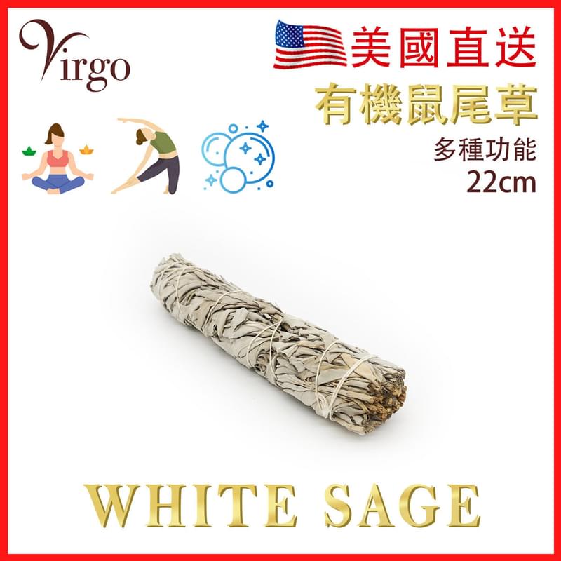 鼠尾草 22cm約80g 美國 天然白鼠尾草 煙薰淨化棒 負能量淨化 舒緩 療癒 身心靈 White Sage薰草負能量淨化燃燒棒 印第安傳統古法淨化植物草枝葉PURE-WHITE-SAGE-22CM