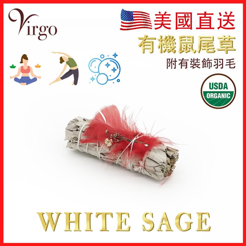紅色羽毛10CM美國加州純白鼠尾草(White Sage)約30克，天然大葉草葉純葉煙熏淨化印第安人千年傳統淨化房間消除負能量祝福瑜珈冥想放髹首選特價實惠熱賣(V-SMUDGE-10CM-RED)
