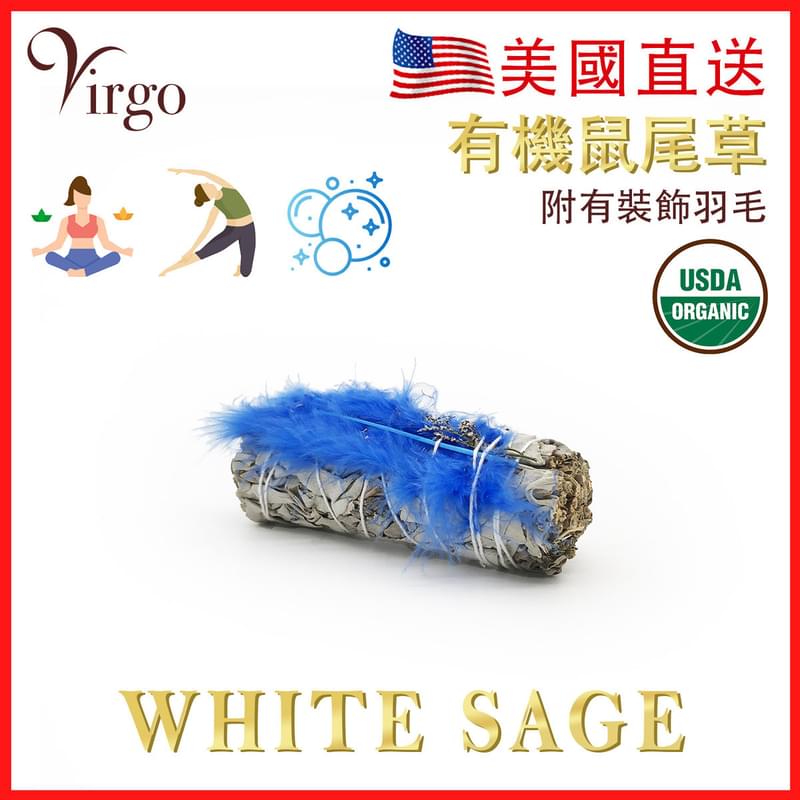 藍色羽毛10CM美國加州純白鼠尾草(White Sage)約30克，天然大葉草葉純葉煙熏淨化印第安人千年傳統淨化房間消除負能量祝福瑜珈冥想放髹首選特價實惠熱賣(V-SMUDGE-10CM-BLUE)