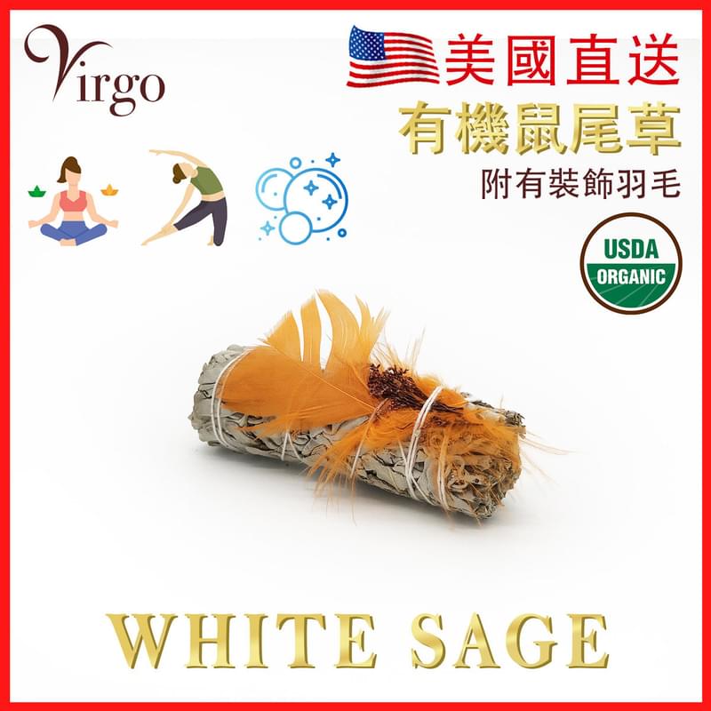 橙色羽毛10CM美國加州純白鼠尾草(White Sage)約30克，天然大葉草葉純葉煙熏淨化印第安人千年傳統淨化房間消除負能量祝福瑜珈冥想放髹首選特價實惠熱賣(V-SMUDGE-10CM-ORANGE)