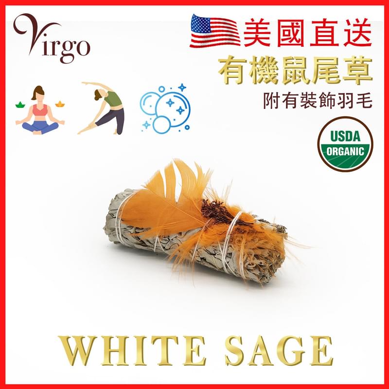 橙色羽毛10CM約30克美國加州純白鼠尾草 White Sage天然白鼠尾草煙薰淨化棒 薰草負能量淨化燃燒棒 印第安傳統古法淨化植物Salvia Apiana V-SMUDGE-10CM-ORANGE