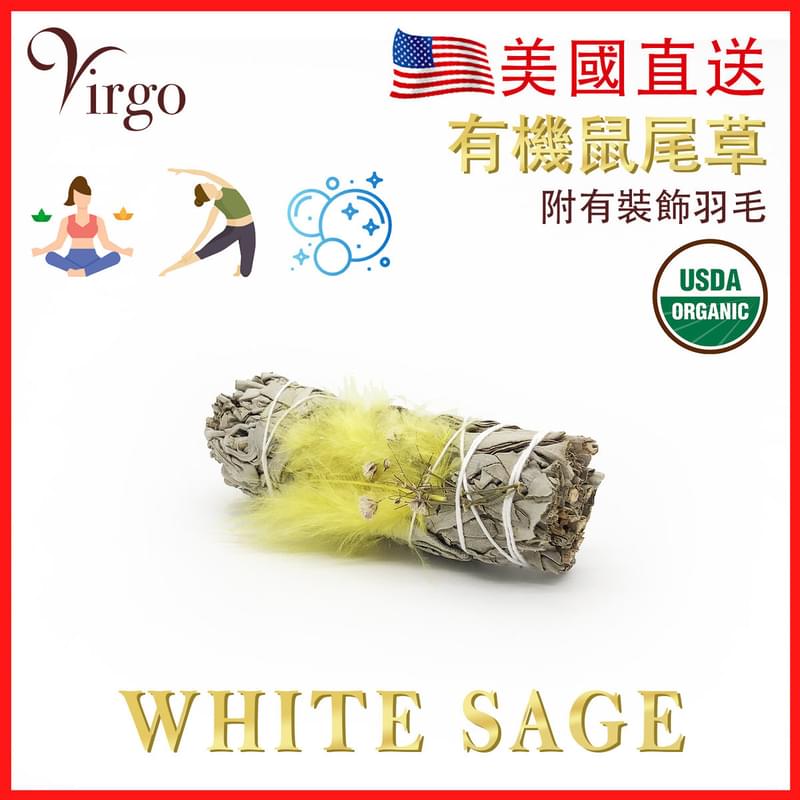 黃色羽毛10CM約30克美國加州純白鼠尾草 White Sage天然白鼠尾草煙薰淨化棒 薰草負能量淨化燃燒棒 印第安傳統古法淨化植物Salvia Apiana V-SMUDGE-10CM-YELLOW