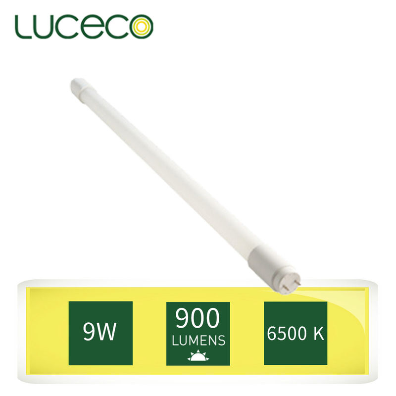 LUCECO - 2ft Glass T8 LED Tubes 9W 6500K Cool White (Model:LT8G2C9W90)