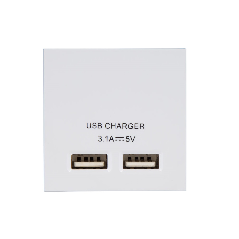 BG - 2USB 3.1A White Clip in Euro Module Charger 50mm x 50mm (Model:EMUSB3W)