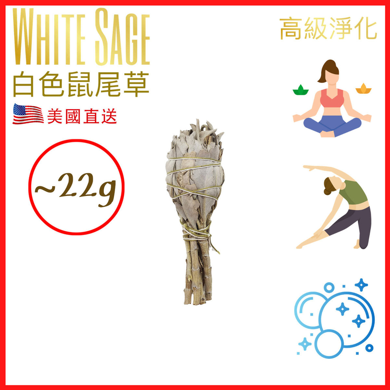 12CM約22克美國加州純白鼠尾草 White Sage天然白鼠尾草煙薰淨化棒 薰草負能量淨化燃燒棒 印第安傳統古法淨化植物草枝葉Salvia Apiana PURE-WHITE-SAGE