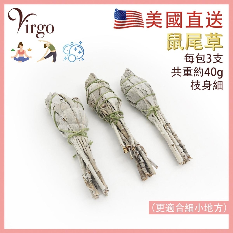 鼠尾草 3X10cm約40g 美國 天然白鼠尾草推薦 煙薰淨化棒 旅行裝 負能量淨化 舒緩 療癒 身心靈 White Sage 印第安傳統古法淨化植物草枝葉 PURE-WHITE-SAGE-10CM3