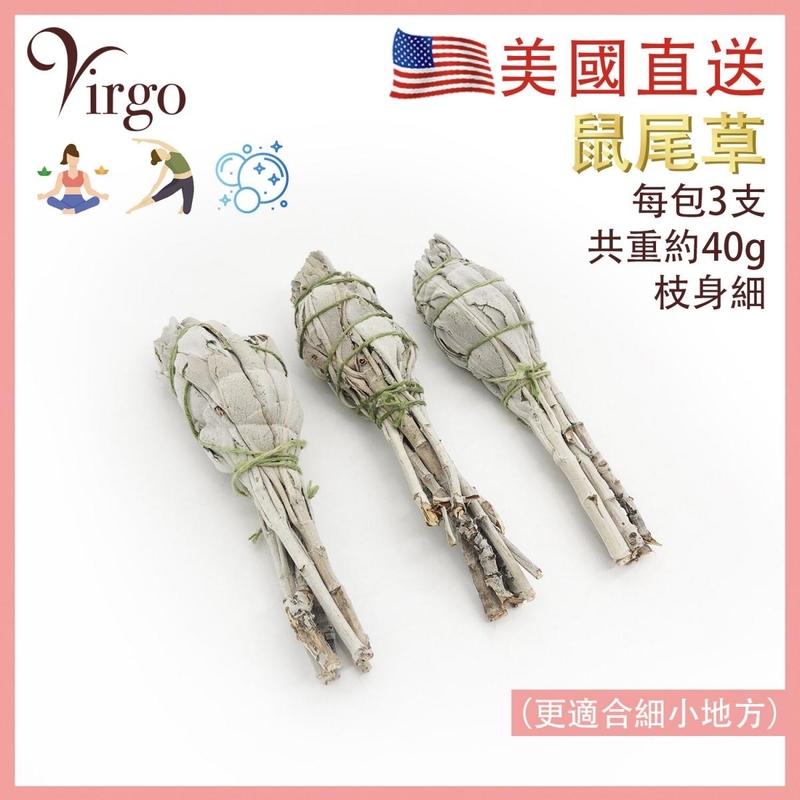 3X10CM Travel Size Pack California Pure White Sage Smudge Bundle Natural Leaf WHITE-SAGE-10CM3