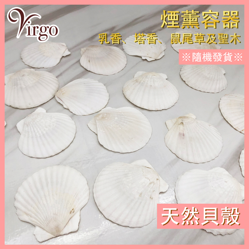 7CM天然貝殼燃燒器皿 煙燻淨化大貝殼 香薰香具 香座 扇貝殼 HIH-SHELL-7CM