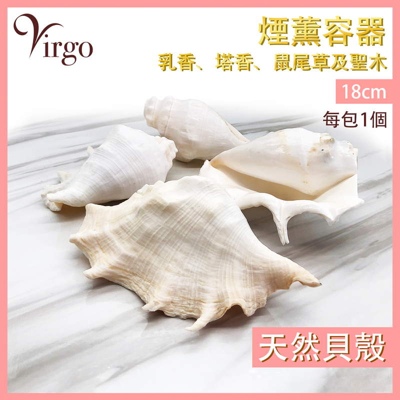 18cm 100% Natural sea shell burner Incense cone holder Smudging conch shell HIH-SHELL-18CM