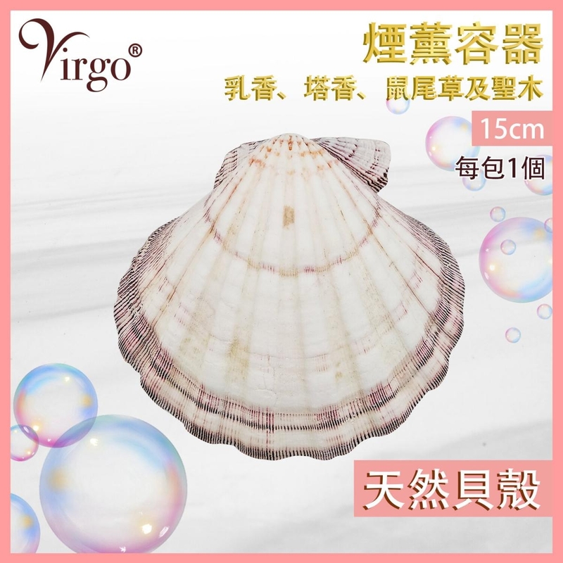 15cm 100% Natural sea shell burner Incense cone holder Smudging scallop shell HIH-SHELL-15CM