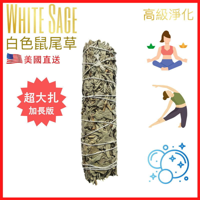 23CM約90克美國加州純白鼠尾草 White Sage天然白鼠尾草煙薰淨化棒 薰草負能量淨化燃燒棒 印第安傳統古法淨化植物草枝葉Salvia Apiana PURE-WHITE-SAGE-23CM