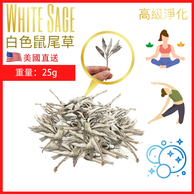 增量版25克葉連枝美國加州純白鼠尾草葉 White Sage天然白鼠尾草煙薰淨化棒 薰草負能量淨化燃燒棒 印第安傳統古法淨化Salvia Apiana PURE-WHITE-SAGE-CLUSTER