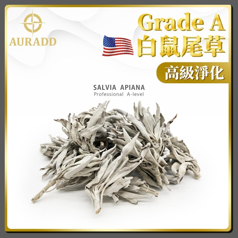 美國專業A級大葉鼠尾草Salvia apiana 25克，煙熏 淨化 消磁 驅霉運 印第安人 千年傳統 淨化房間消除負能量祝福瑜珈冥想(AD-SAGE-BL-25G)