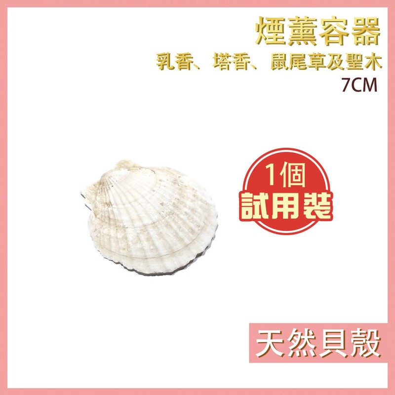 (1個試用裝)7CM 天然貝殼燃燒器皿，燒乳香 沒藥 塔香 淨化 鼠尾草 秘魯聖木 香碟 便攜 線香 塔香 燃燒香薰 熏香具點香座熏香薰臥香插香條 香爐 香料錐形香特價天然