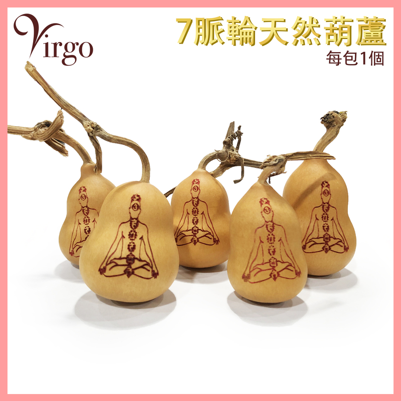 Natural Rare Mini 7 Chakra Gourd 5CM Plant Energy Gourd Feng Shui Ornament VFS-GOURD-7C