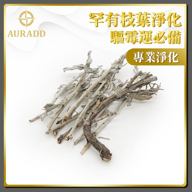 鼠尾草 專業A級美國天然連枝葉鼠尾草(14克裝多枝少葉款) 多枝少葉 淨化空間 專業淨化 散裝白鼠尾草 淨化草 驅霉運辟邪鼠尾草 淨化空間 純天然古法傳統淨化植物鼠尾草推薦 AD-SAGE-A01