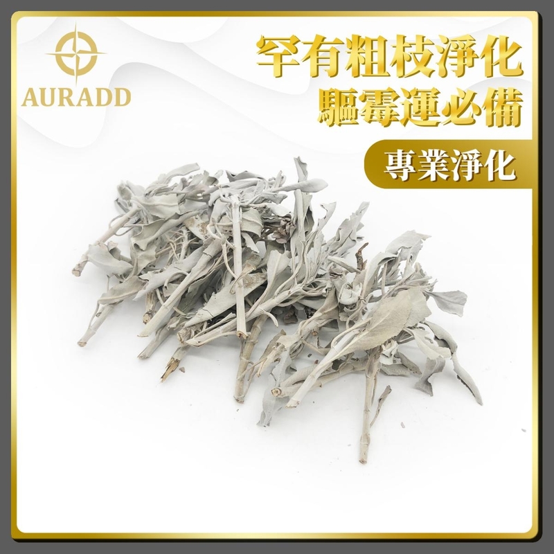 鼠尾草 專業A級美國罕有粗枝鼠尾草(14克裝粗枝少葉款) 淨化 淨化空間 專業淨化 罕有粗枝淨化 散裝白鼠尾草 驅霉運辟邪鼠尾草 純天然古法 淨化植物鼠尾草推薦 淨化家居推薦 AD-SAGE-A02