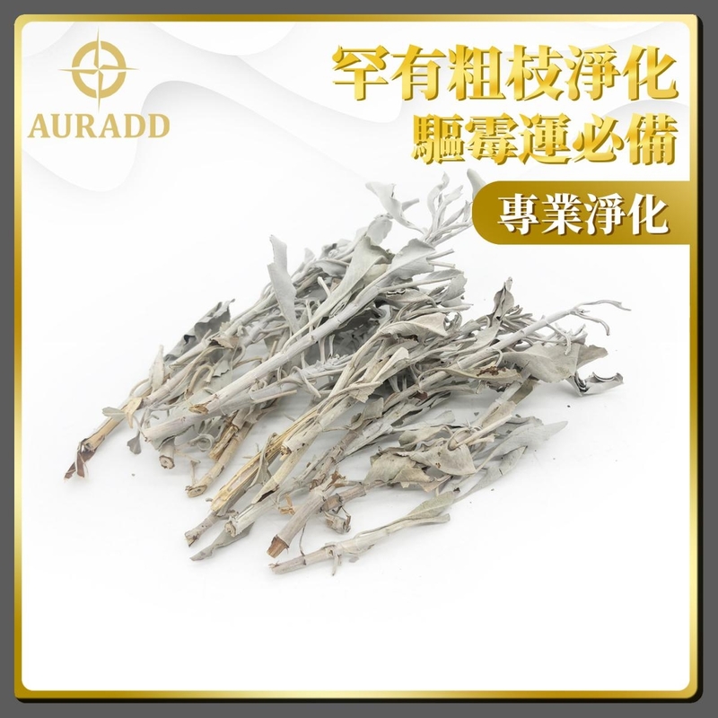 鼠尾草 專業A級美國天然連枝葉鼠尾草(20克裝短枝多葉款) 罕有粗枝 淨化空間 專業淨化 散裝白鼠尾草 淨化草 驅霉運辟邪鼠尾草 淨化空間 純天然古法傳統淨化植物鼠尾草推薦 AD-SAGE-A03
