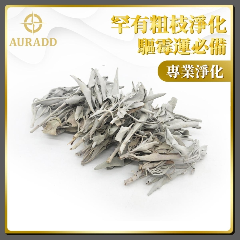 鼠尾草 專業A級美國天然連枝葉鼠尾草(25克裝長枝多葉款) 罕有粗枝 淨化空間 專業淨化 散裝白鼠尾草 淨化草 驅霉運辟邪鼠尾草 淨化空間 純天然古法傳統淨化植物鼠尾草推薦 AD-SAGE-A04