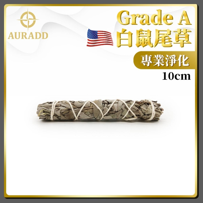 (10CM  Long Tie Up Pack) Professional Grade A American Natural White Sage Sprigs AD-SAGE-TU10