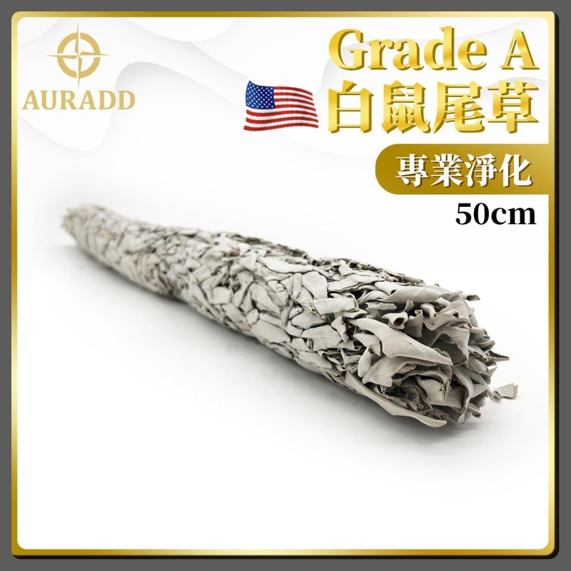 (50CM  Xtra-Long Tie Up Pack) Professional Grade A American Natural White Sage Sprigs AD-SAGE-TU50