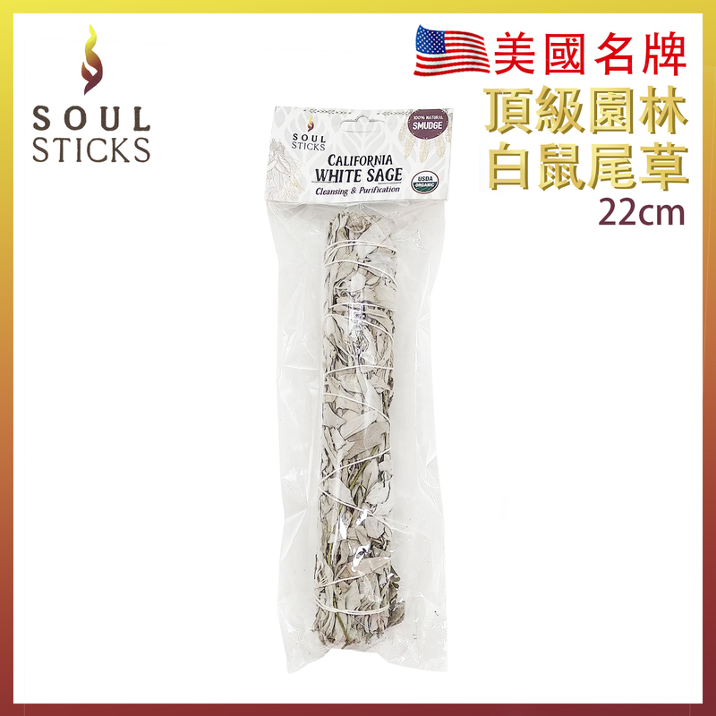 鼠尾草 22cm 約80g 美國加州頂級園林純白鼠尾草 煙薰淨化棒負能量淨化 White Sage天然白鼠尾草 印第安傳統古法淨化植物草枝葉 寵物治療 SS-PURE-WHITE-SAGE-22CM