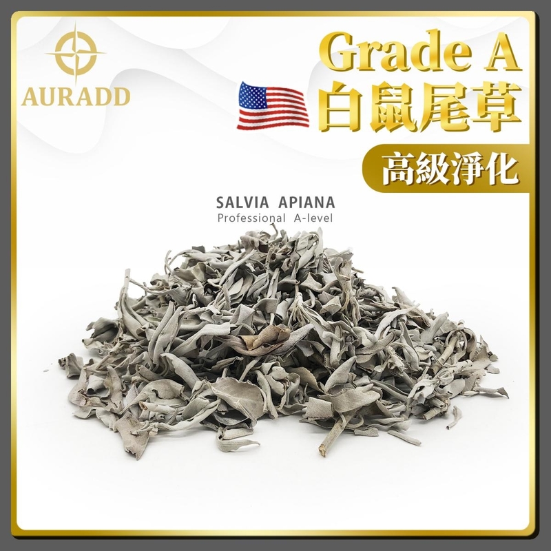 鼠尾草 專業A級美國天然連枝葉鼠尾草 尺寸(隨機發貨) 散裝單支 驅黴運辟邪鼠尾草 淨化空間 White Sage薰草負能量淨化燃燒棒 印第安傳統古法淨化植物鼠尾草 淨化推薦AD-SAGE-LS-50