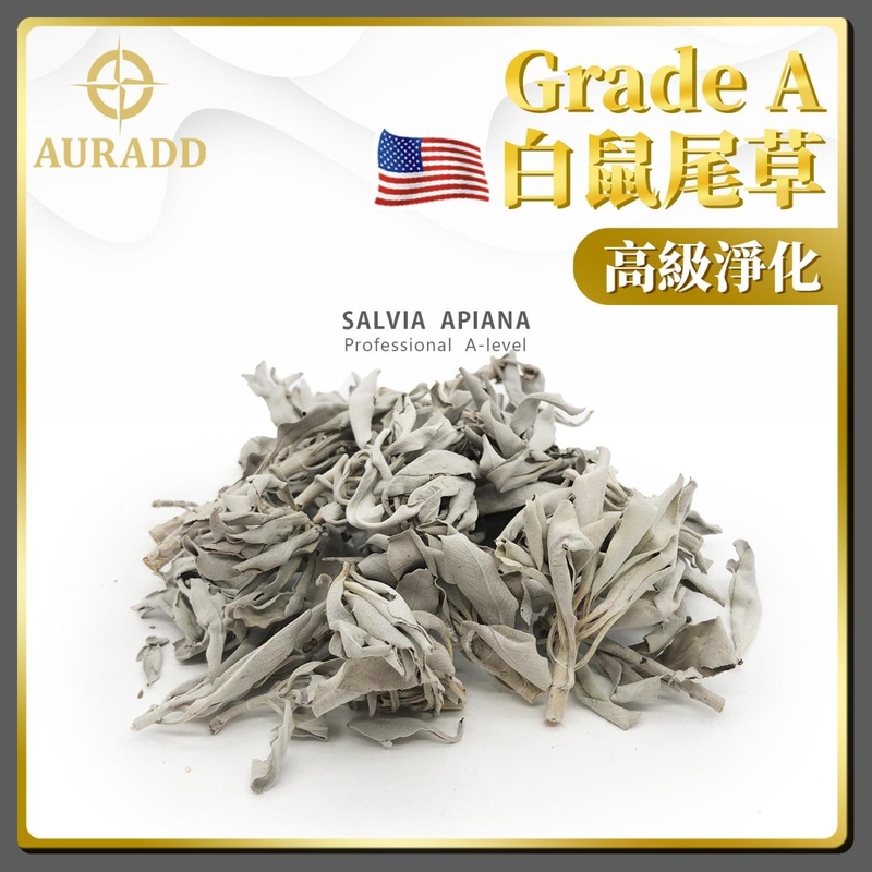 鼠尾草 專業A級美國天然連枝葉鼠尾草(25克裝短枝大葉款) 罕有粗枝 驅黴運辟邪鼠尾草 淨化空間 有機鼠尾草幼枝 散裝淨化草 驅霉運辟邪 純天然古法傳統淨化植物草枝葉 淨化 AD-SAGE-BL-25