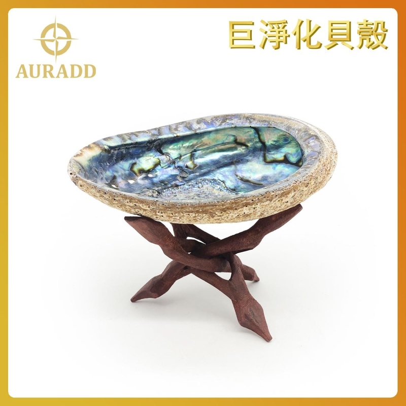 Giant Purification Shell Giant Abalone Shell + Wooden Stand smoke bowl purify set AD-SHELL-XL