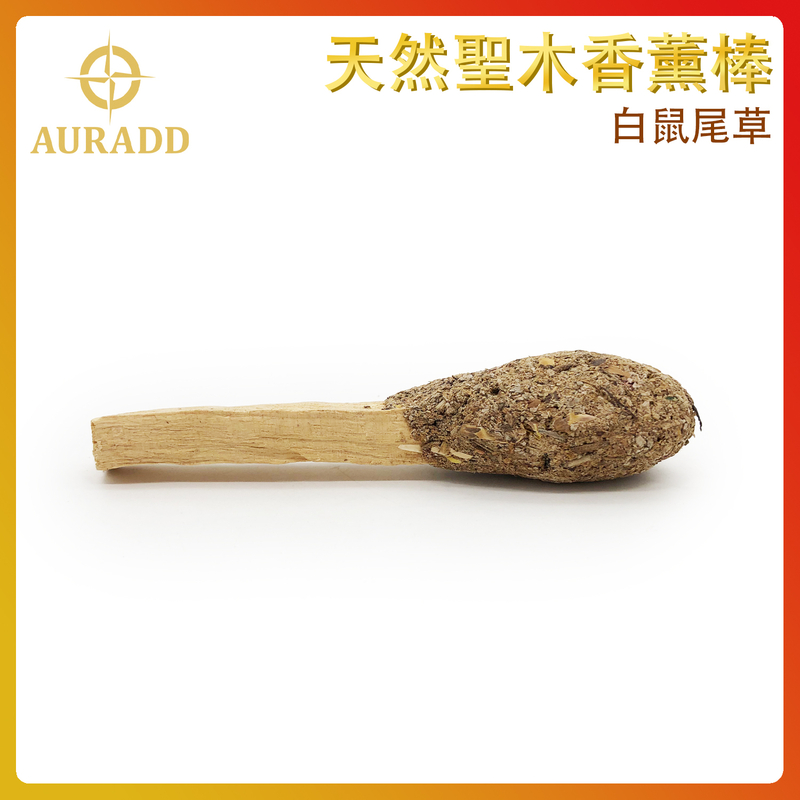 100%天然聖木條+白鼠尾草碎香薰棒10CM 天然香薰 瑜珈塔形香 錐粒香薰 治療減壓圓錐香 抗疫防菌香薰 情調氣氛塔香 僻味圓錐香 香薰推薦 AD-IN-PLWS