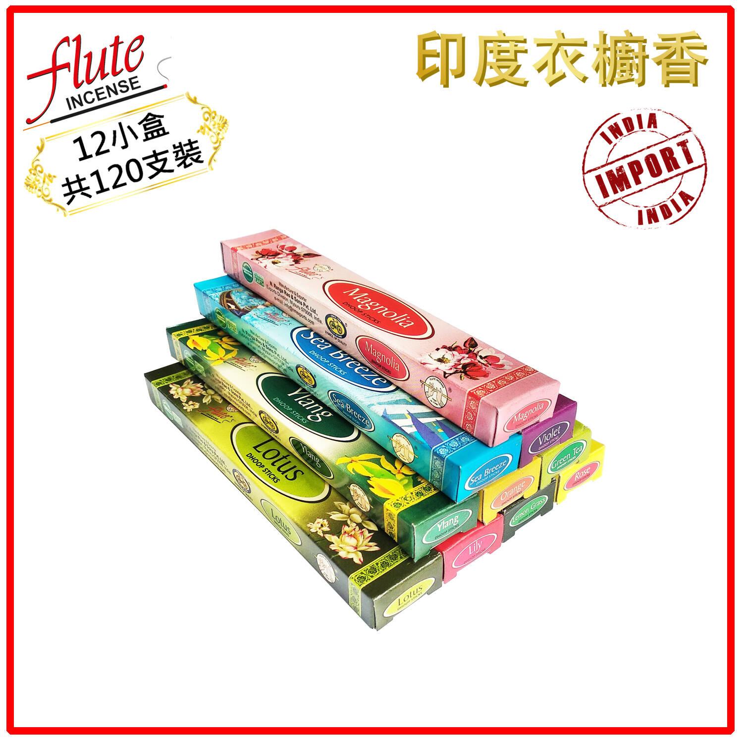 12 120 VIOLET FLDS VIOLET